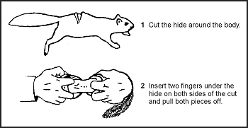 Figure 8-27. Skinning Small Game